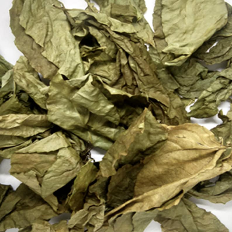 Passionfruit Leaf Organic 100 Pure Dried Granadilla Barbadine Etsy