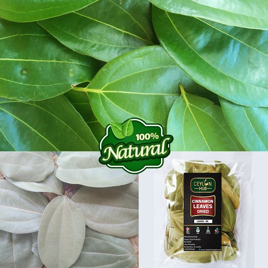 Dried CINNAMON LEAVES / Tej Patta/ Indian Bay Leaf Ceylon Best