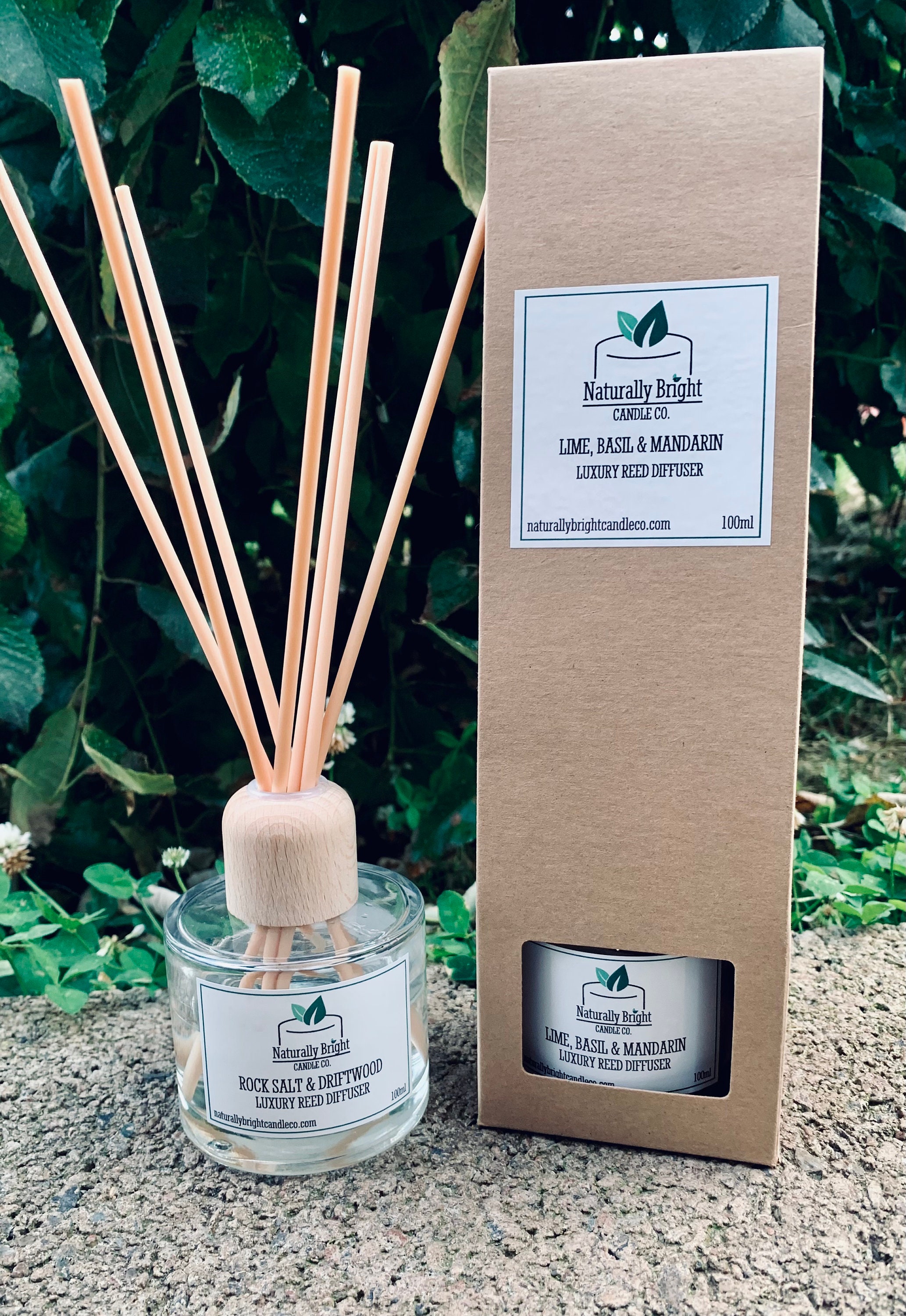 Luxury REED DIFFUSER 100ml Highly Fragranced Home Diffuser Etsy