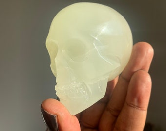 May include: A white, translucent skull sculpture made of resin. The skull is smooth and has a glossy finish. It is being held in a person's hand.