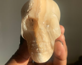 May include: A white and brown carved onyx skull. The skull is detailed with eye sockets, a nose, and a mouth.