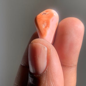 以下が含まれることがあります： ピンクとオレンジの不規則な形の粗い宝石。宝石は手で持たれています。