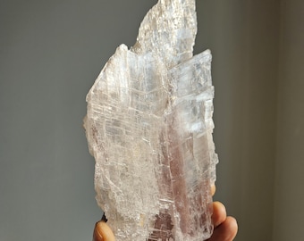 Campione di cristallo di selenite naturale / Satin Spar / Cristalli curativi Pietre purificanti / Rocce e minerali
