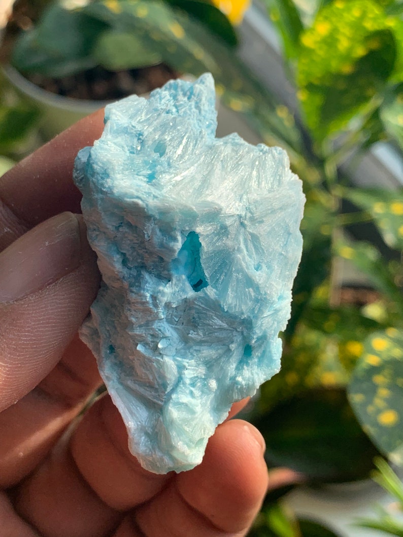 Blue Aragonite Raw Crystals Healing Crystals Stones Chakra Etsy