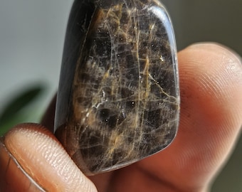 Black Moonstone Tumble Stone | Crystal Meditation Stones | Rocks and Minerals