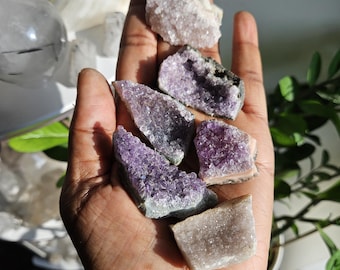 Beautiful Mini Amethyst Geode Pieces with Sugar Druzy | Amethyst from Brazil | Rocks and Minerals
