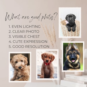 Custom Pet Portrait from Photo, Custom Dog Portrait, Memorial Dog Portrait,Pet Owner Gift, Dog Portrait Custom Painting Photo, PHOTO EDIT image 6