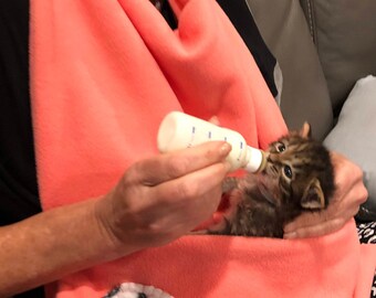 kitten sling