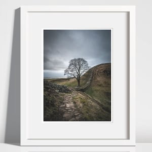 Sycamore Gap Hadrian&#39;s Wall, Scotland, Northumbria, Landscape Photography, Optional Archival Mountboard, Photographic paper, Art Print,
