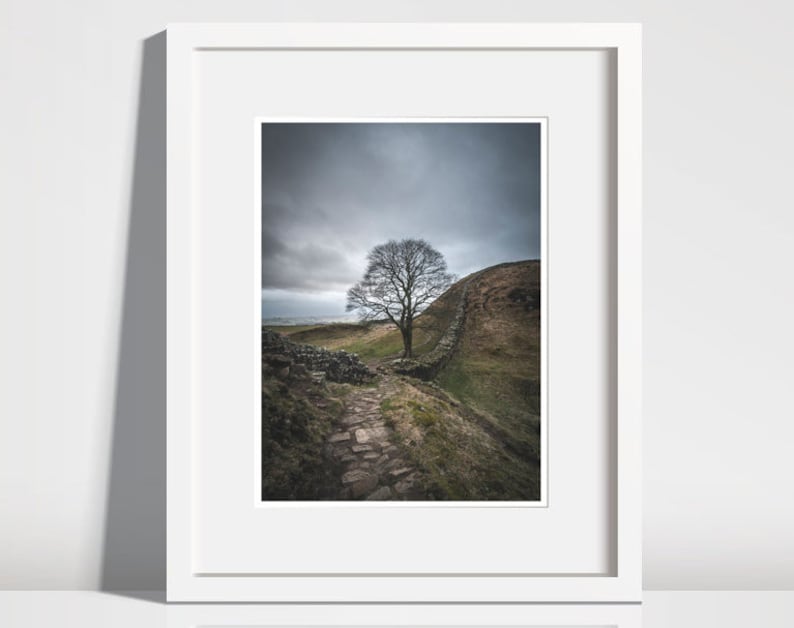 May include: A lone tree stands on a grassy hill with a stone wall winding around it. A path leads up to the tree, with a cloudy sky overhead.