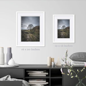 May include: A framed photograph of a lone tree on a stone wall, with a cloudy sky in the background. The image is in a white frame and measures 16 x 20 inches.