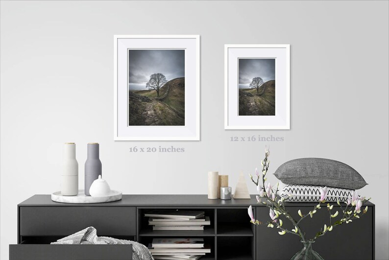 May include: A framed photograph of a lone tree on a stone wall, with a cloudy sky in the background. The image is in a white frame and measures 16 x 20 inches.