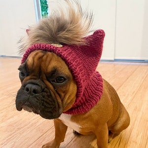 frenchie hat