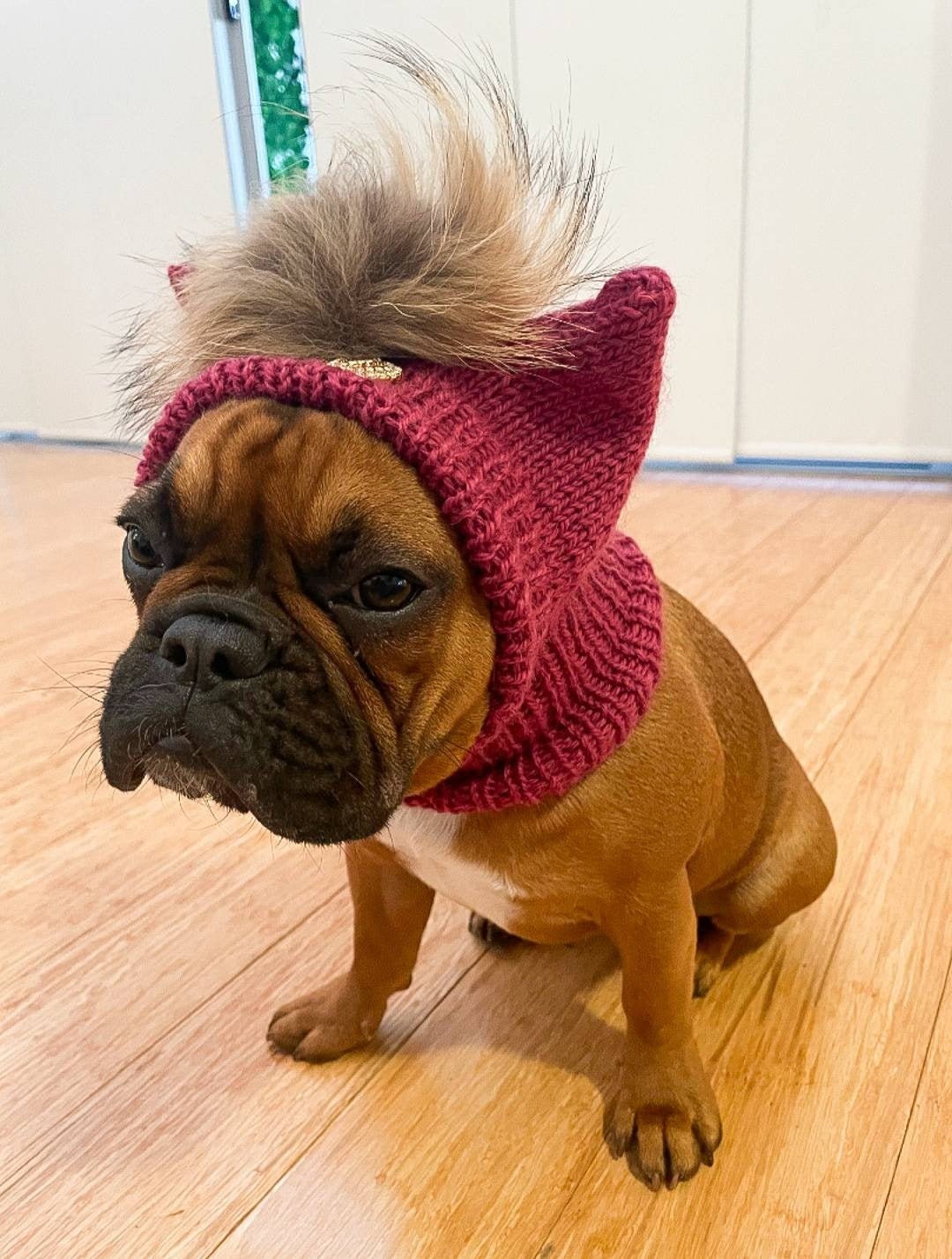 bulldog hat