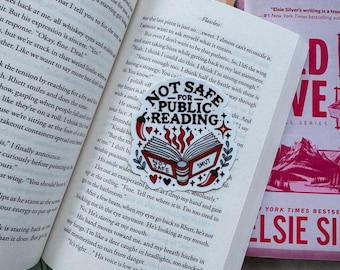 Boekstickers / Kindle-stickers /BookTok / Smut Books / Leesstickers / Smut-stickers / Grappige stickers / Nog een hoofdstuk / Stickers