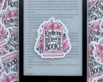 Boekstickers / Kindle-stickers /BookTok / Smut Books / Leesstickers / Smut-stickers / Grappige stickers / Nog een hoofdstuk / Stickers