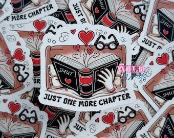 Boekstickers / Kindle-stickers /BookTok / Smut Books / Leesstickers / Smut-stickers / Grappige stickers / Nog een hoofdstuk / Stickers