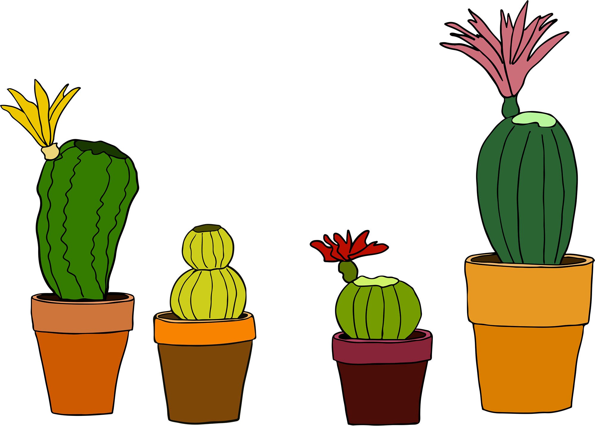 Cactus vector drawing commercial use ai svg pdf files | Etsy