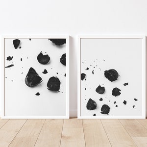 May include: Two framed black and white photographs of scattered black rose petals on a white background.