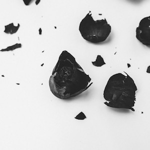 May include: Black rose petals scattered on a white background. The petals are dried and brittle, with some showing signs of decay. The image evokes a sense of loss and transience.