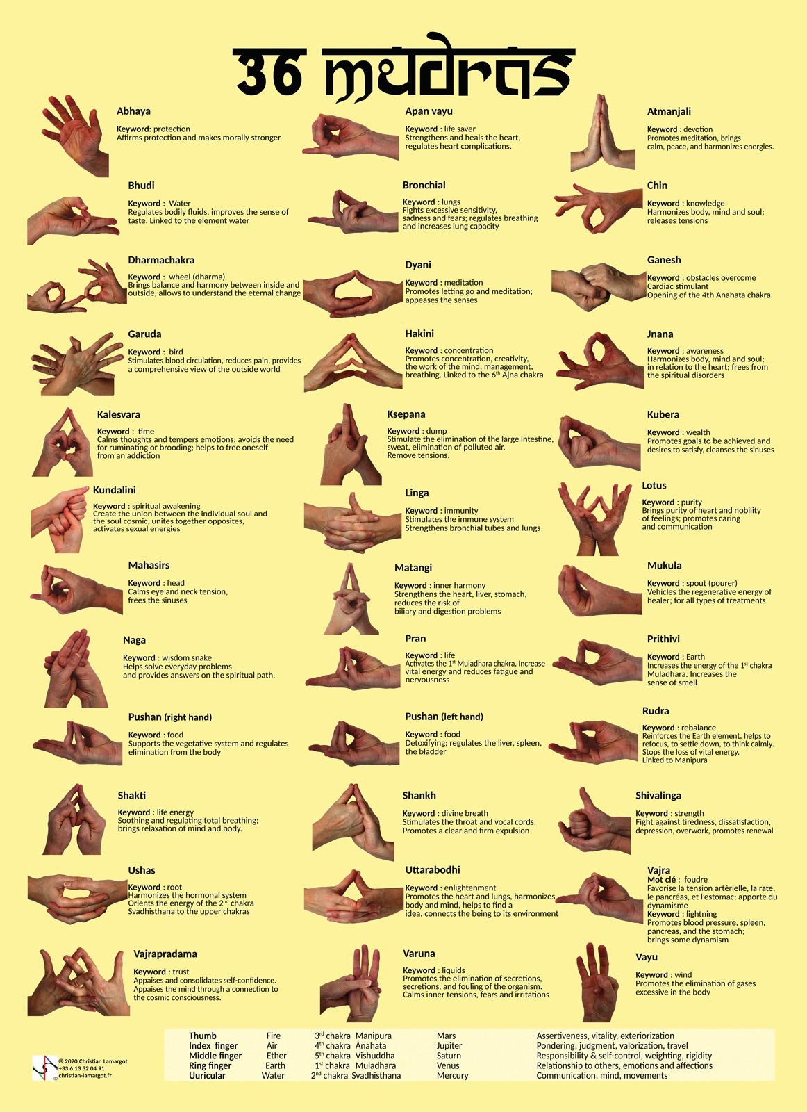 Wall Poster Of Definitions & Meanings 36 Mudras - English