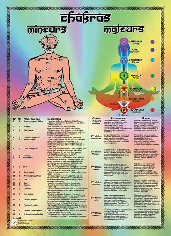Poster Des Chakras Majeurs et Mineurs, Leurs Positions Signications en Français