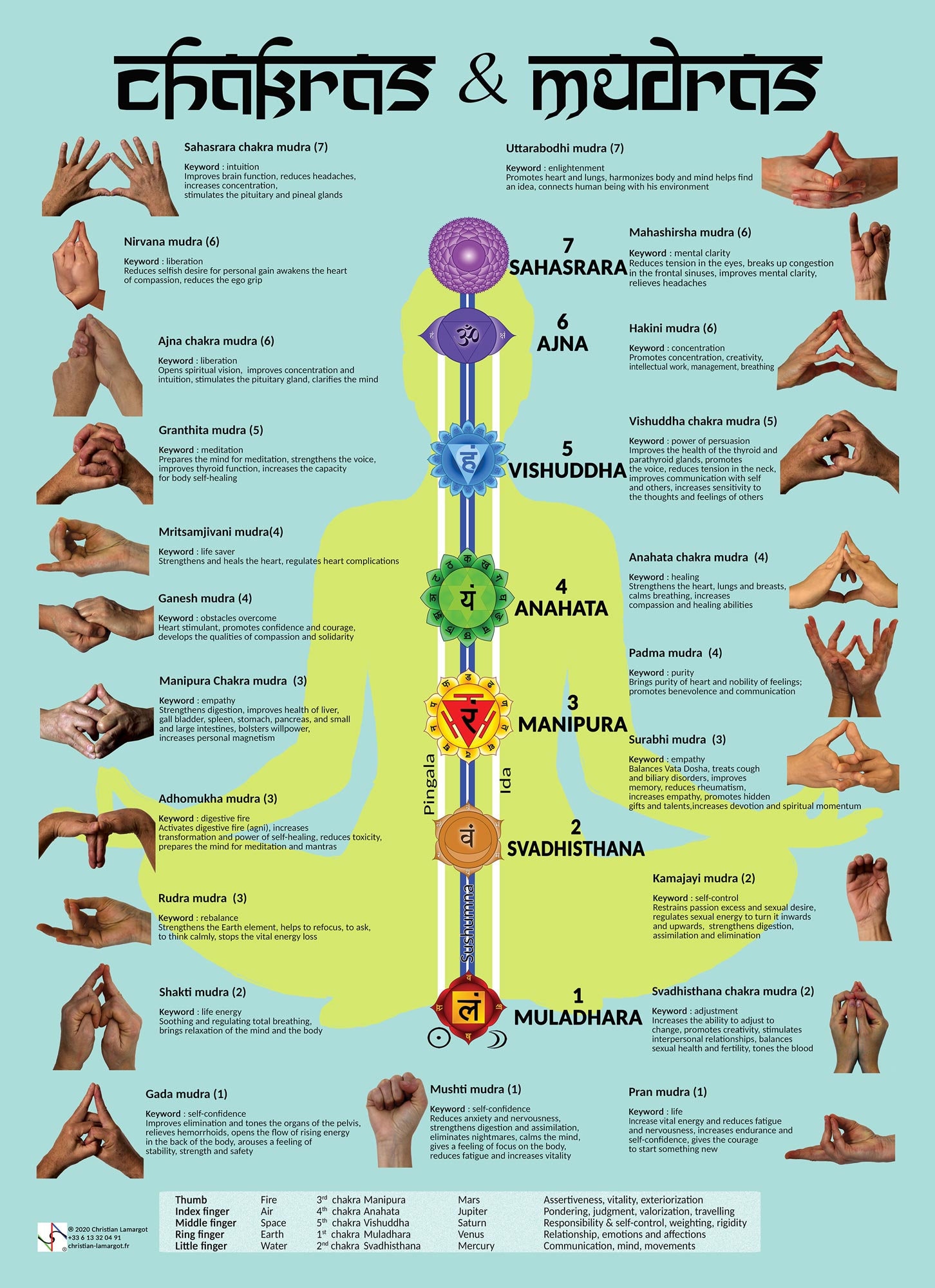 Buy Wall Poster of Definitions and Meanings of 22 Mudras for 7 Online