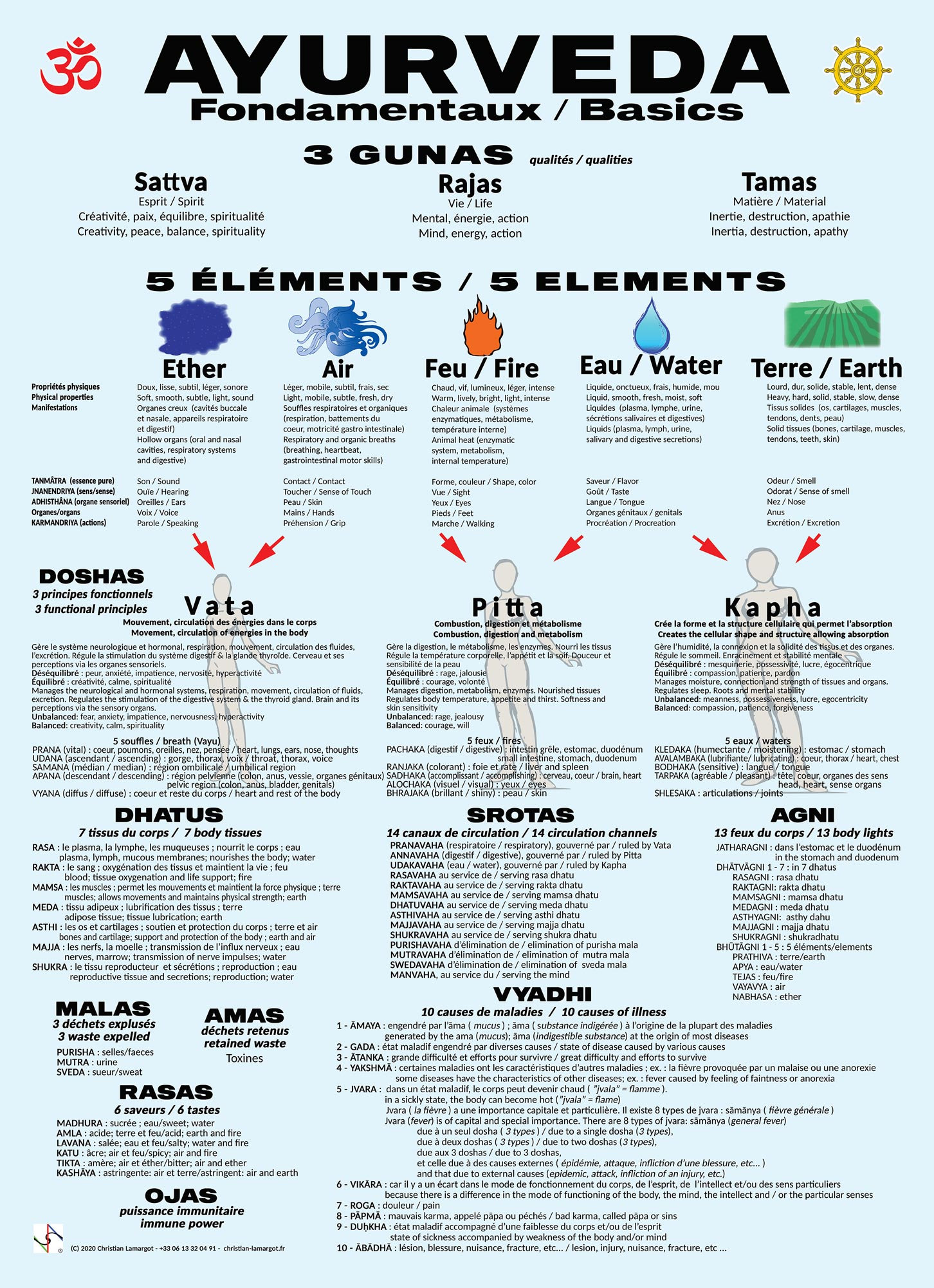 Poster Mural/Wall Poster Ayurveda Les Fondamentaux Basics - Français/English