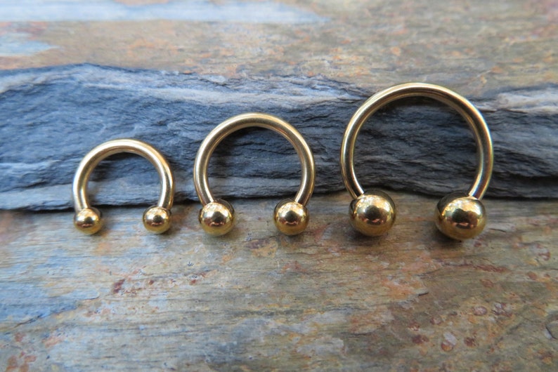 Gold Titanium IP 14G 1.6mm Horseshoe Ring Septum Piercing Etsy