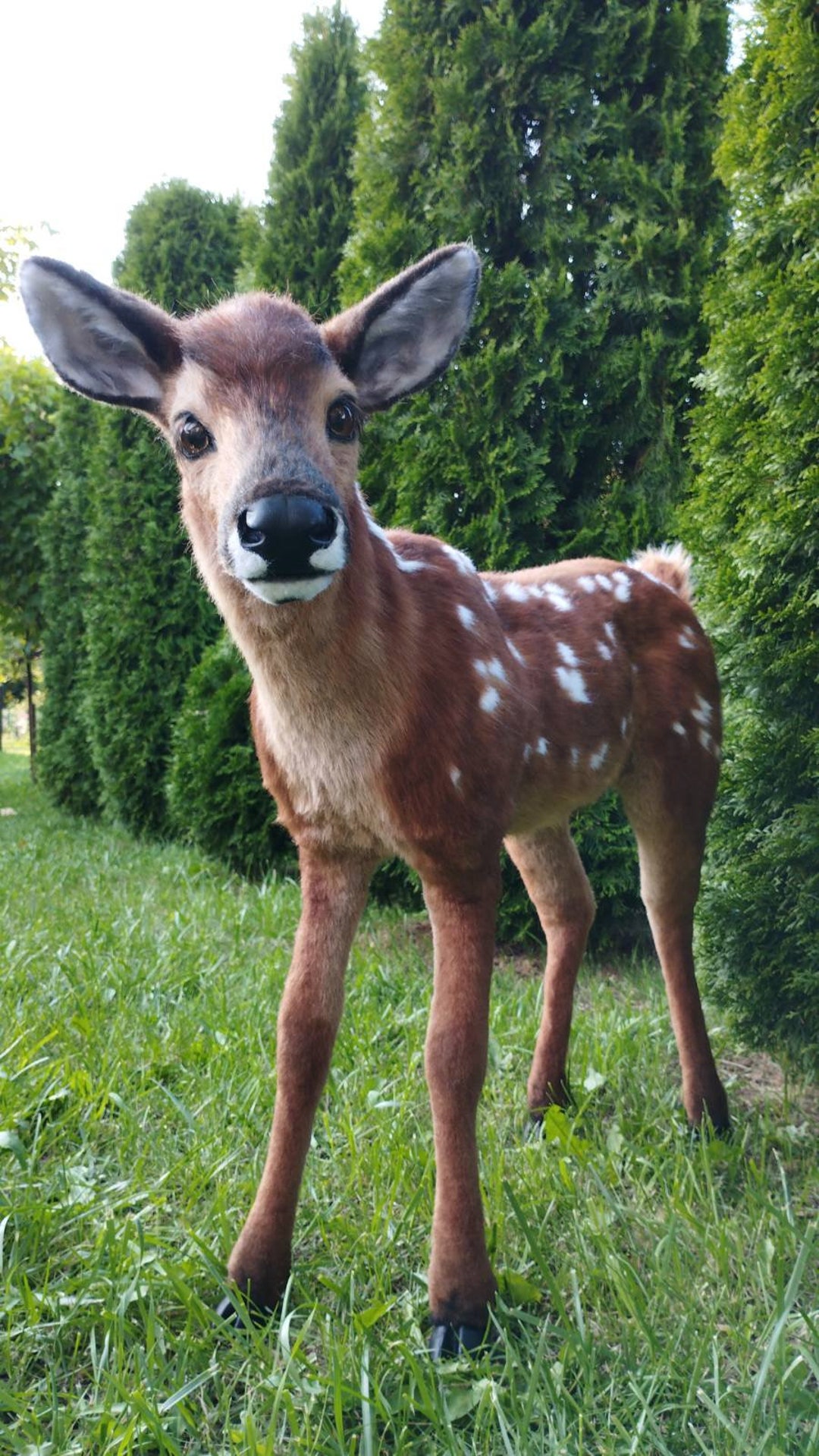 Spotted Deer Unique Deer Plush Personalised Pet Stuffed Toy Poseable ...