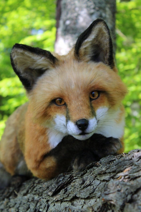 Fox Realistic Plush Handmade Soft Toy for Wildlife Lovers and