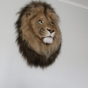 Lion Head Faux Fur Wall Mount: Safari Decorations image 4