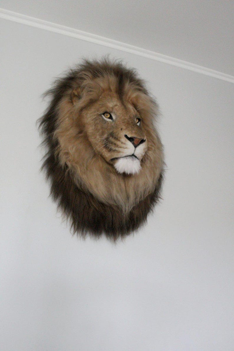 Lion Head Faux Fur Wall Mount: Safari Decorations image 4