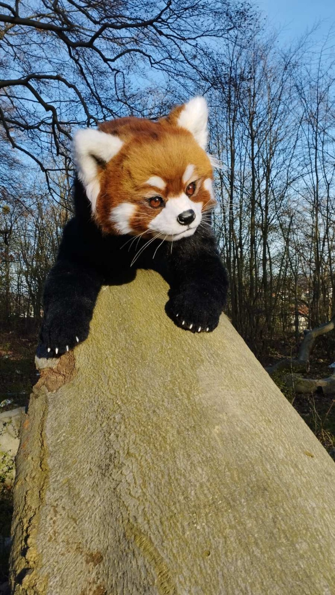 Realistic Plush Toyhandmade Gift panda Home Decor Etsy