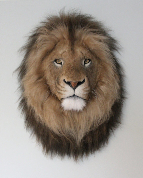 Lion Head Faux Fur Wall Mount: Safari Decorations