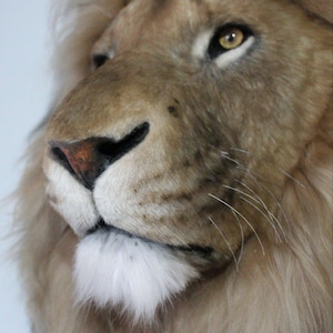 Lion Head Faux Fur Wall Mount: Safari Decorations image 7