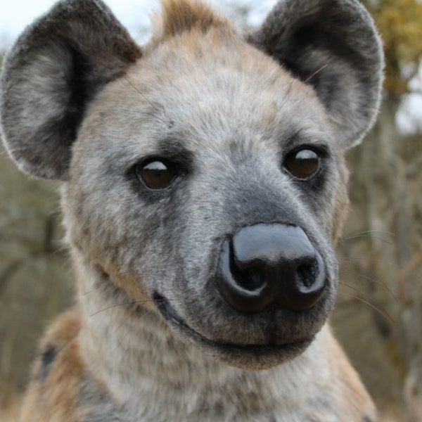 Spotted Hyena Soft Toy - Handmade Stuffed Animal Replica