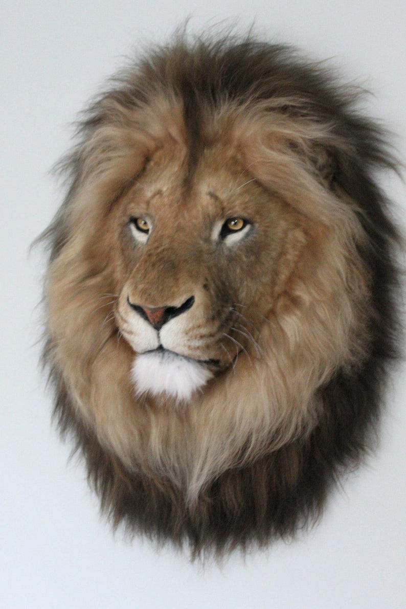 Lion Head Faux Fur Wall Mount: Safari Decorations image 6
