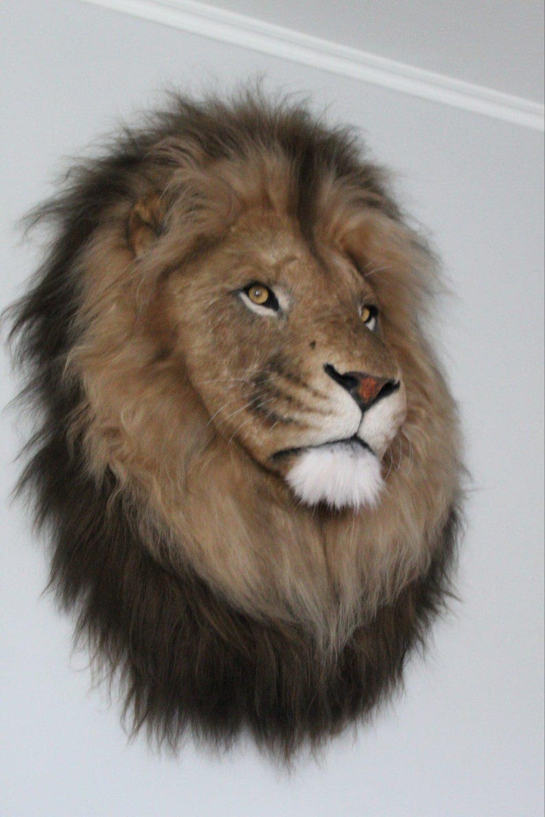 Lion Head Faux Fur Wall Mount: Safari Decorations image 10
