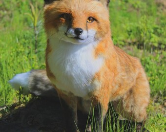 Fox Realistic Plush Handmade Soft Toy for Wildlife Lovers and