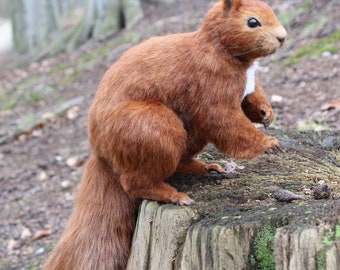 Jouet écureuil. Animaux taxidermés. Poupée artistique articulée. Peluche personnalisée pour animal de compagnie. Poupée réaliste. Peluche réaliste