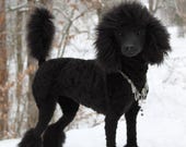 Realistic Black Poodle Plush, Custom Handmade Lifelike Dog Replica,Personalized Pet Gift