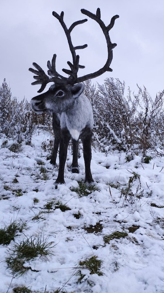 Life size stuffed reindeer outlet