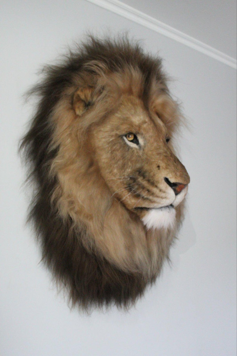 Lion Head Faux Fur Wall Mount: Safari Decorations image 3