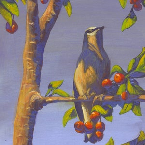 シーダーワックスウィング - アートプリント、鳥のアート、鳥、ペットの肖像画、春、自然、森、イラスト、絵画、葉、木、かわいい、美しい、アート