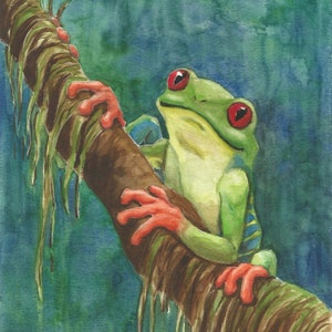 Red Eyed Tree Frog- animal art, art print, frogs, cute, watercolor, pet portrait, amphibians, jungle, rainforest, illustration, tropical