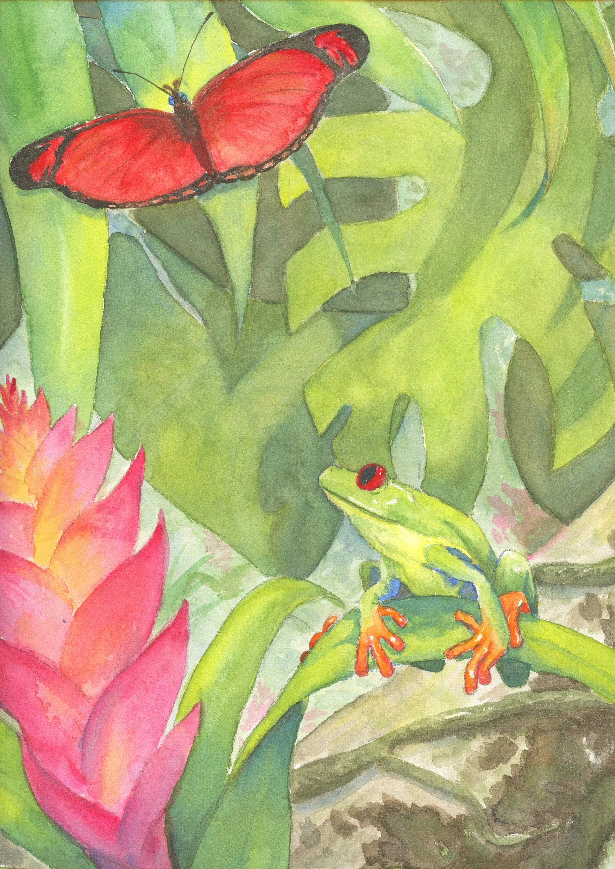 Regenwald- Kunstdruck, Frosch, Bromelie, Philodendron, schn, Aquarell,  Schmetterlingskunst, tropisch, Illustration, Dschungel, Naturschutz -  Etsy.de