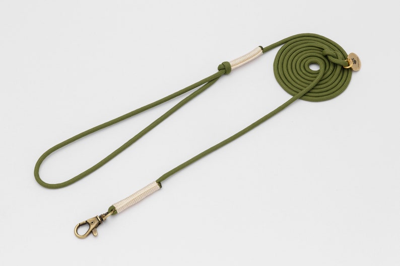 Active Pets Hundeleine 1,8 M – Mit Gepolstertem Neopren-Griff & Stabilem Karabiner, Für Große & Kleine Hunde