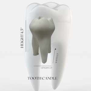 Tooth Shaped Candle – Dentist Gift Idea – Soy Wax Scented Candle – Dental Office Decor – Gift for Her – White, Pink, or Gold Tooth Candle