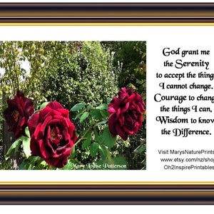 Une belle rose rouge dans un cadre de jardin... Serenity Verse image numérique/carte postale 6 x 4 po @ 4 Set pour offrir.